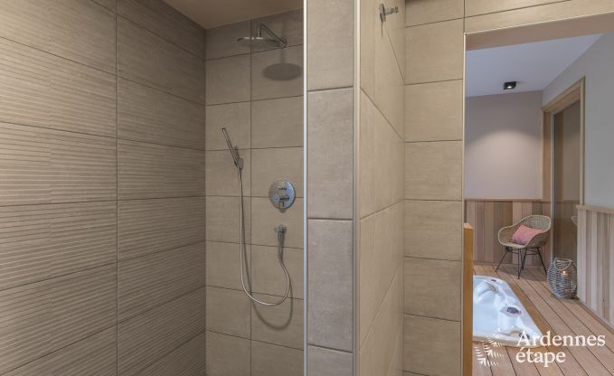 Ferienhaus Paliseul 12 Pers. Ardennen Wellness