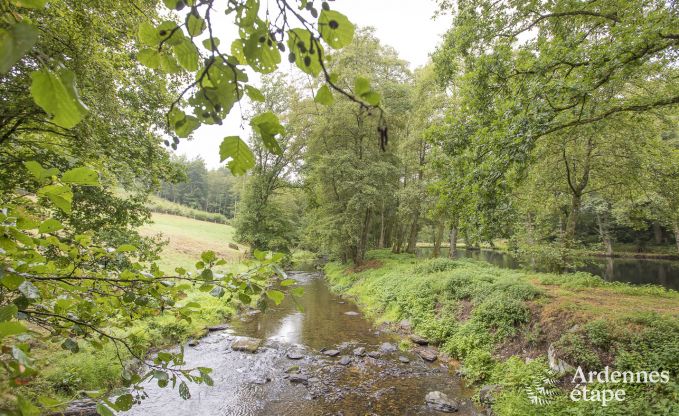 Ferienhaus Paliseul 12 Pers. Ardennen Wellness