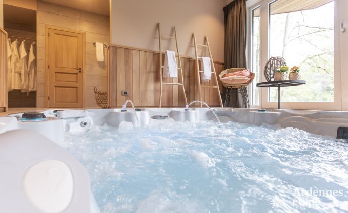 Ferienhaus Paliseul 12 Pers. Ardennen Wellness
