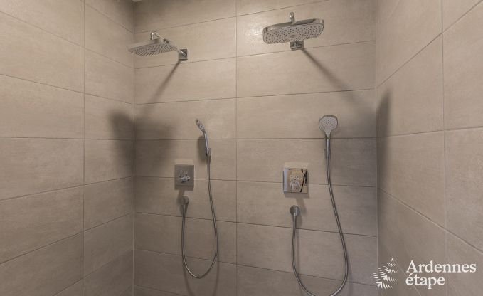 Ferienhaus Paliseul 12 Pers. Ardennen Wellness