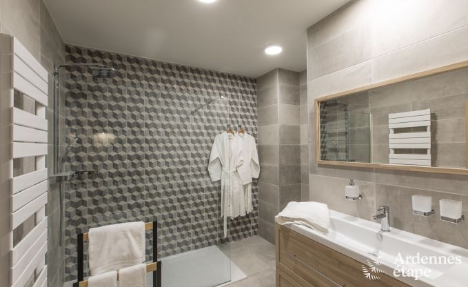 Ferienhaus Paliseul 12 Pers. Ardennen Wellness