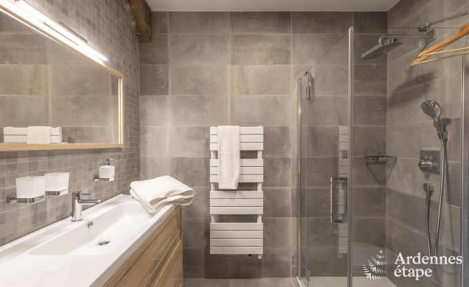 Ferienhaus Paliseul 12 Pers. Ardennen Wellness