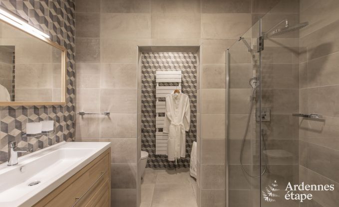 Ferienhaus Paliseul 12 Pers. Ardennen Wellness