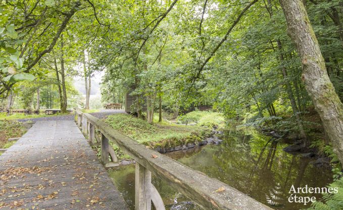 Ferienhaus Paliseul 12 Pers. Ardennen Wellness