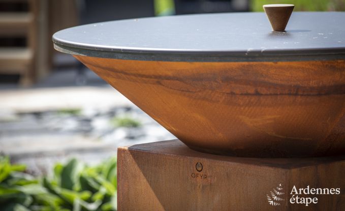 Ferienhaus Paliseul 10 Pers. Ardennen Wellness