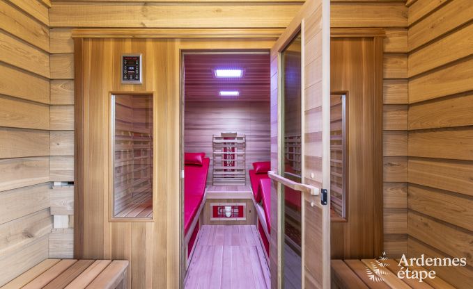 Ferienhaus Paliseul 10 Pers. Ardennen Wellness