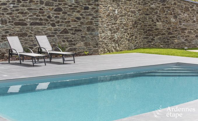 Ferienhaus Paliseul 12 Pers. Ardennen Schwimmbad Wellness
