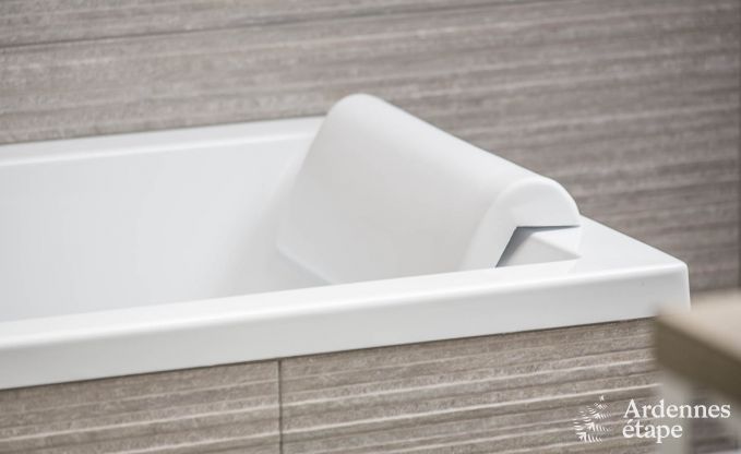 Ferienhaus Paliseul 12 Pers. Ardennen Schwimmbad Wellness