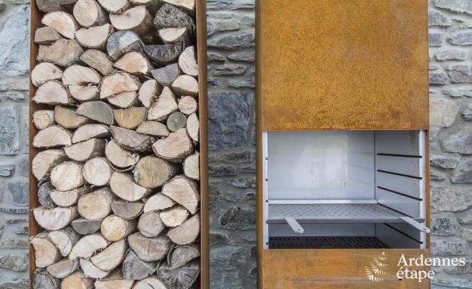 Ferienhaus Paliseul 12 Pers. Ardennen Schwimmbad Wellness