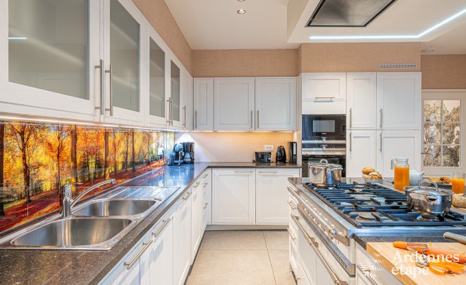 Ferienhaus Paliseul 12 Pers. Ardennen Schwimmbad Wellness