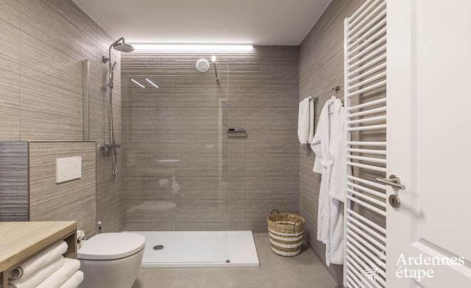 Ferienhaus Paliseul 12 Pers. Ardennen Schwimmbad Wellness