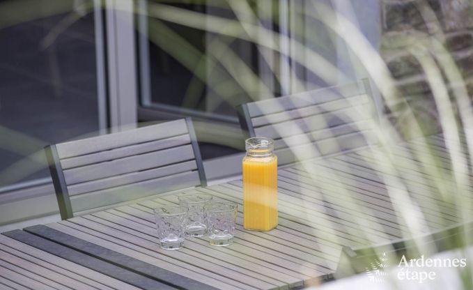 Ferienhaus Paliseul 12 Pers. Ardennen Schwimmbad Wellness