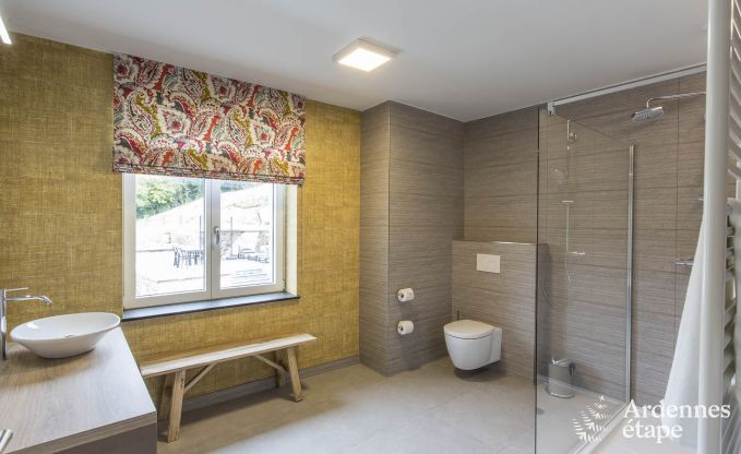 Ferienhaus Paliseul 12 Pers. Ardennen Schwimmbad Wellness