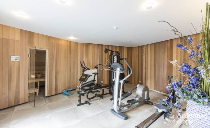 Ferienhaus Paliseul 12 Pers. Ardennen Schwimmbad Wellness