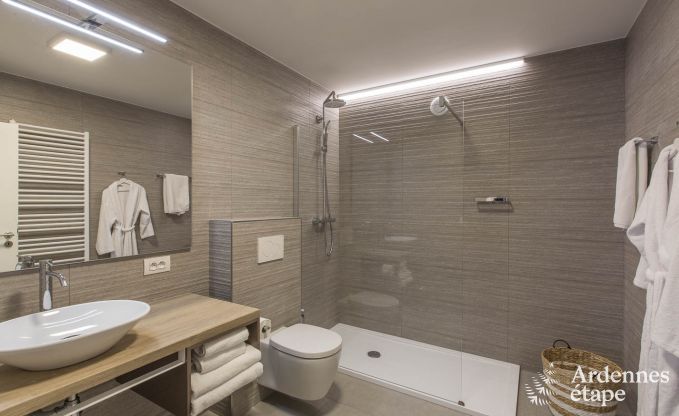 Ferienhaus Paliseul 12 Pers. Ardennen Schwimmbad Wellness