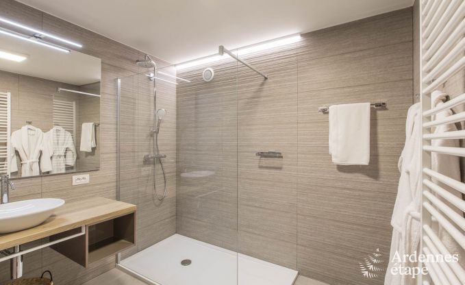 Ferienhaus Paliseul 12 Pers. Ardennen Schwimmbad Wellness