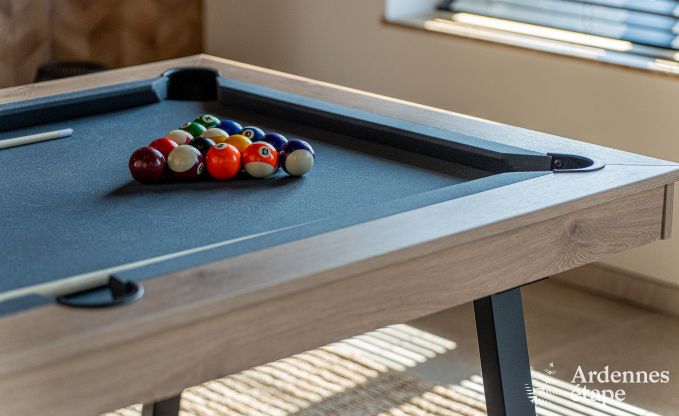 Moderne Ferienwohnung in Paliseul fr 14 Personen mit Schwimmbad, Spielzimmer und Nhe zum Bcherdorf Redu in den Ardennen