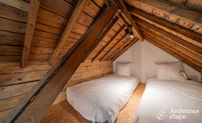 Moderne Ferienwohnung in Paliseul fr 14 Personen mit Schwimmbad, Spielzimmer und Nhe zum Bcherdorf Redu in den Ardennen