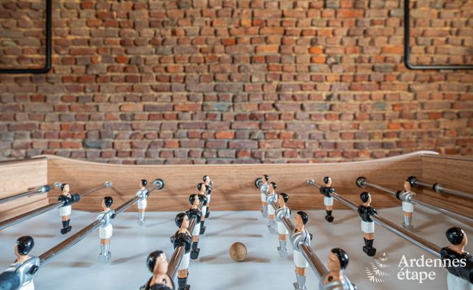 Moderne Ferienwohnung in Paliseul fr 14 Personen mit Schwimmbad, Spielzimmer und Nhe zum Bcherdorf Redu in den Ardennen