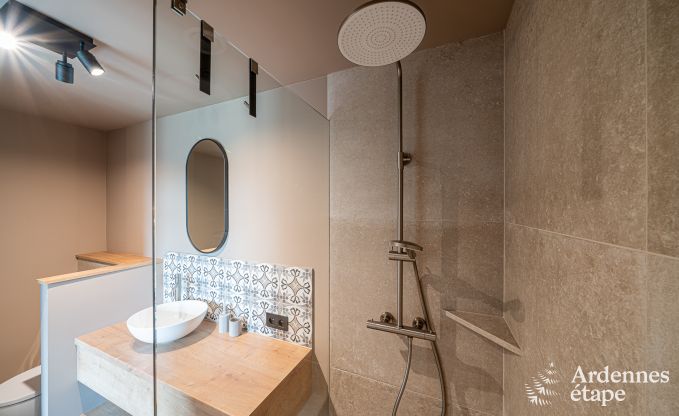 Moderne Ferienwohnung in Paliseul fr 14 Personen mit Schwimmbad, Spielzimmer und Nhe zum Bcherdorf Redu in den Ardennen