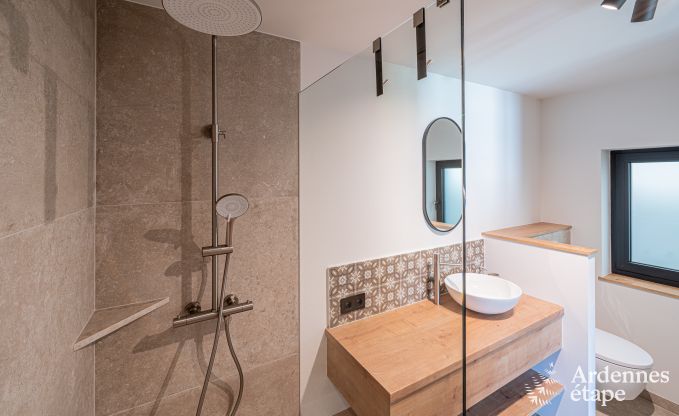 Moderne Ferienwohnung in Paliseul fr 14 Personen mit Schwimmbad, Spielzimmer und Nhe zum Bcherdorf Redu in den Ardennen