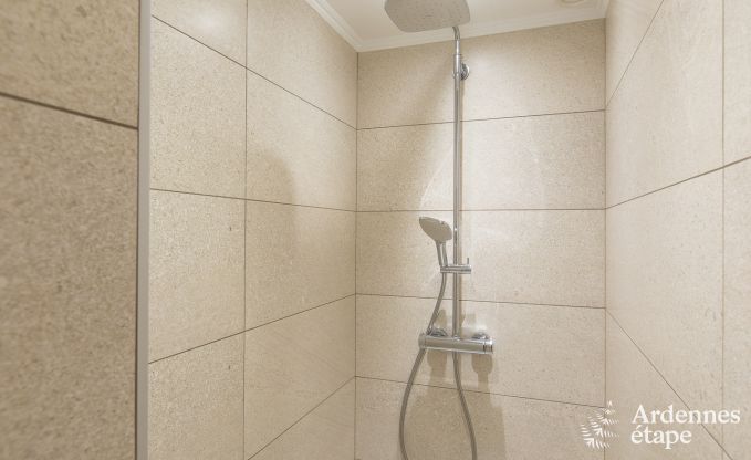 Luxusvilla Paliseul 15 Pers. Ardennen