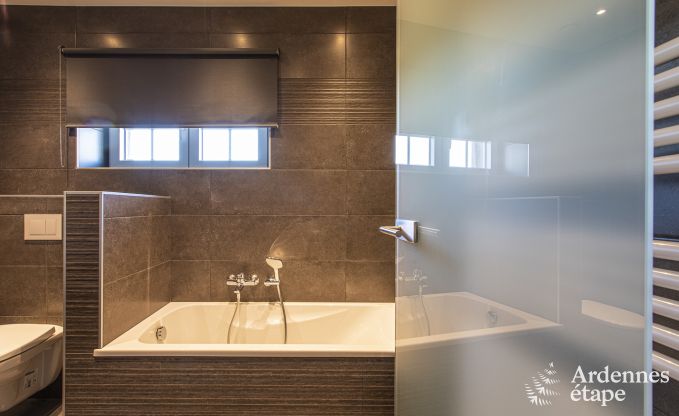 Luxusvilla Paliseul 15 Pers. Ardennen