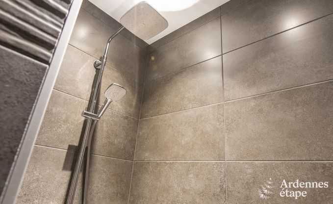 Luxusvilla Paliseul 15 Pers. Ardennen