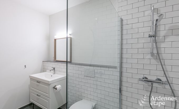 Luxusvilla Paliseul 26 Pers. Ardennen