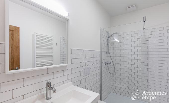 Luxusvilla Paliseul 26 Pers. Ardennen