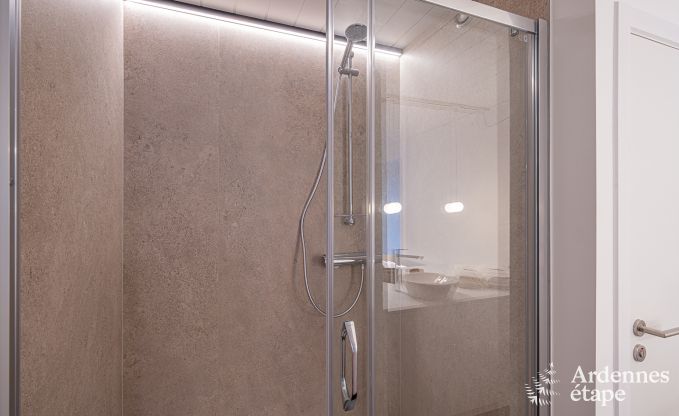 Luxusvilla Paliseul 18 Pers. Ardennen Schwimmbad Wellness Behinderten gerecht