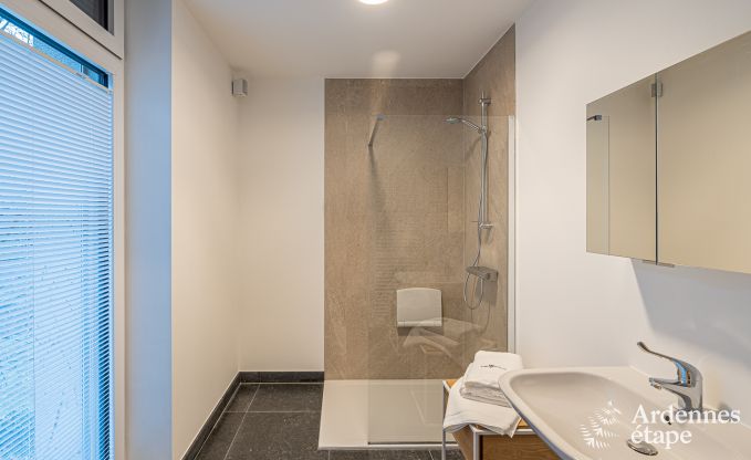 Luxusvilla Paliseul 18 Pers. Ardennen Schwimmbad Wellness Behinderten gerecht