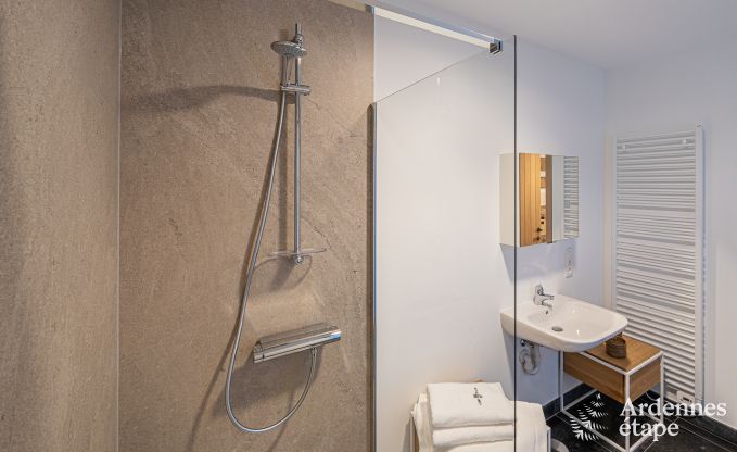 Luxusvilla Paliseul 18 Pers. Ardennen Schwimmbad Wellness Behinderten gerecht