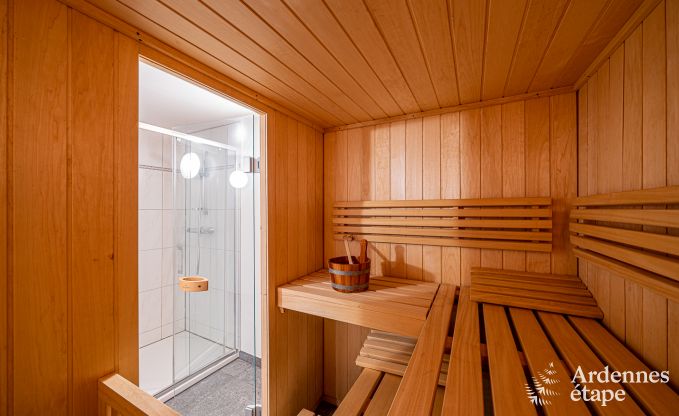 Luxusvilla Paliseul 18 Pers. Ardennen Schwimmbad Wellness Behinderten gerecht