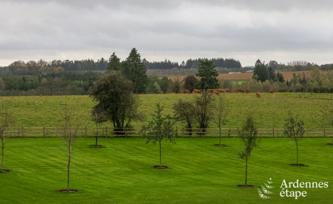 Wohnung Paliseul 4/6 Pers. Ardennen Wellness