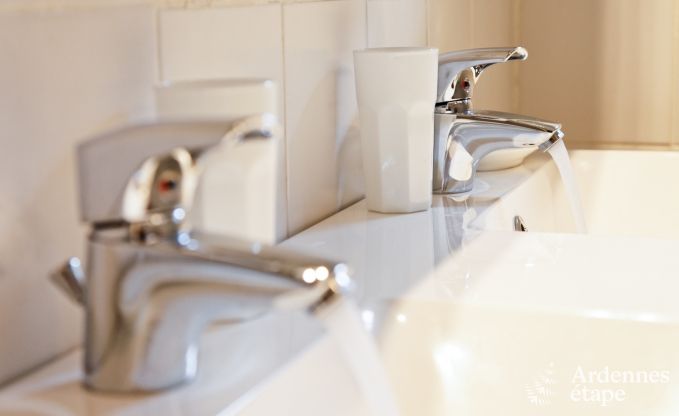 Cottage Paliseul 10/12 Pers. Ardennen