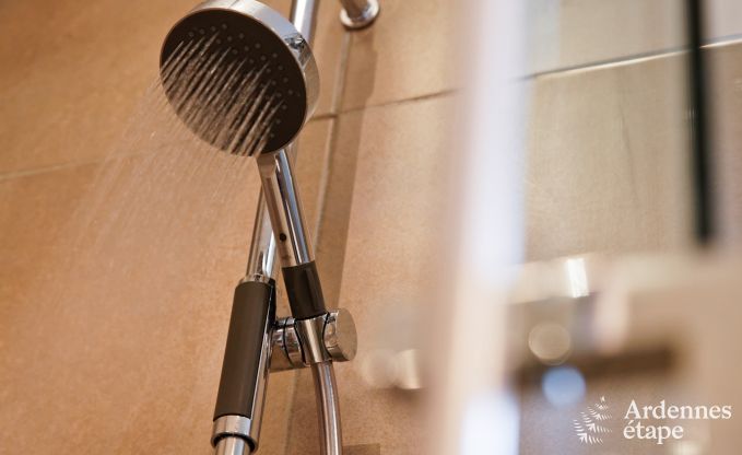 Cottage Paliseul 10/12 Pers. Ardennen