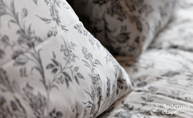 Cottage Paliseul 10/12 Pers. Ardennen