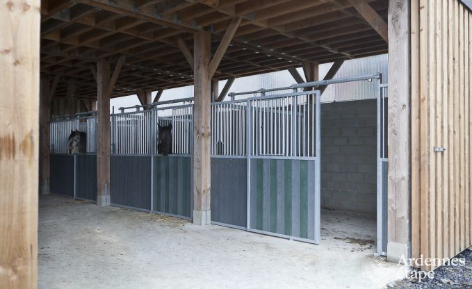 Ferienhaus Paliseul 4/5 Pers. Ardennen Wellness