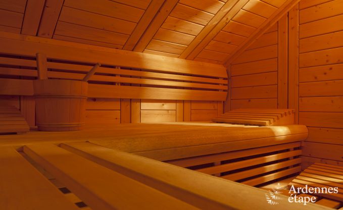 Ferienhaus Paliseul 4/5 Pers. Ardennen Wellness