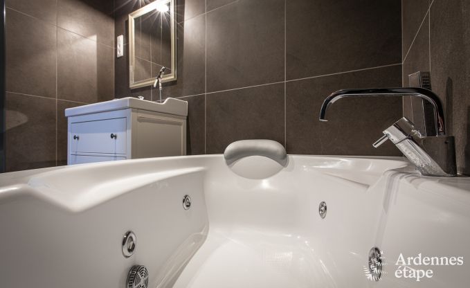 Ferienhaus Paliseul 16/22 Pers. Ardennen Schwimmbad Wellness