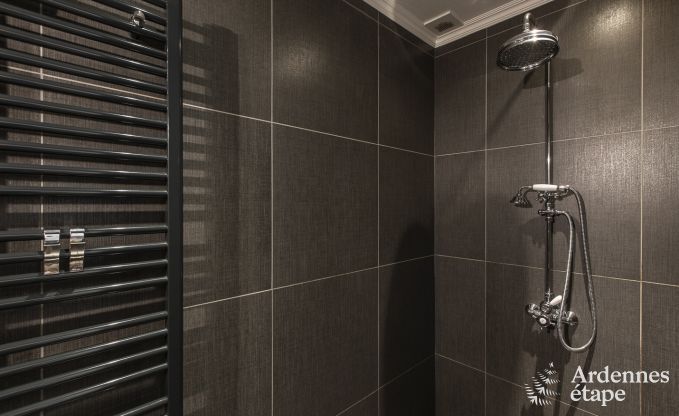 Ferienhaus Paliseul 16/22 Pers. Ardennen Schwimmbad Wellness