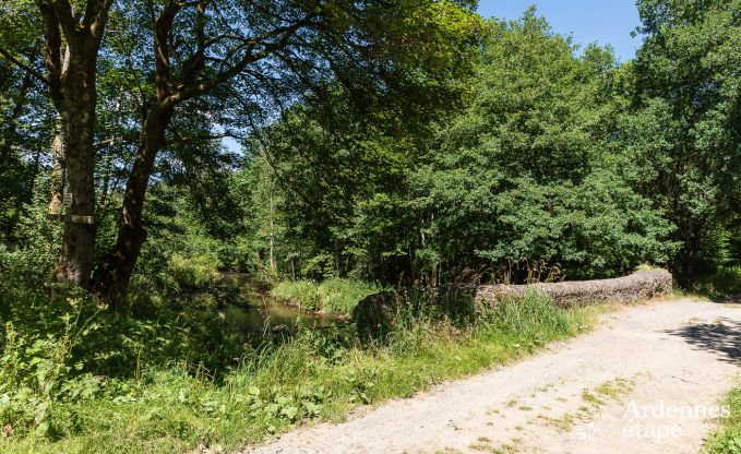 Ferienhaus Paliseul 4 Pers. Ardennen Wellness