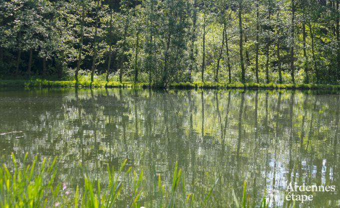 Ferienhaus Paliseul 6/8 Pers. Ardennen Wellness