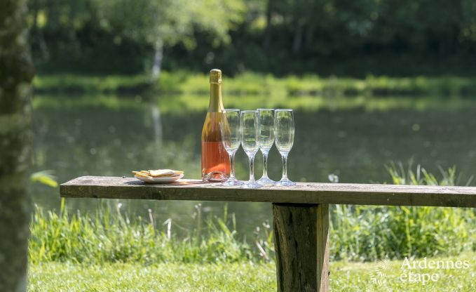 Ferienhaus Paliseul 6/8 Pers. Ardennen Wellness