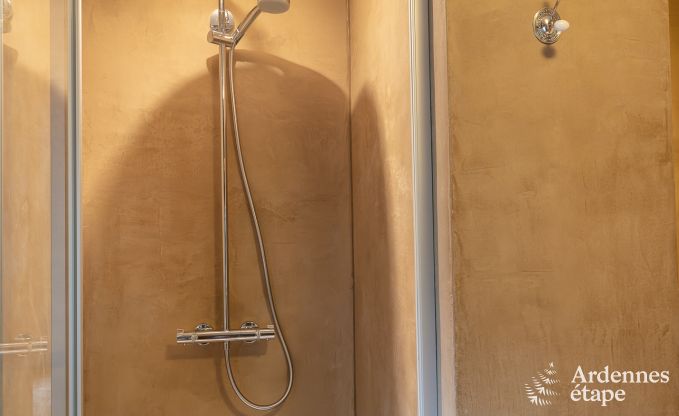 Ferienhaus Paliseul 6 Pers. Ardennen Wellness