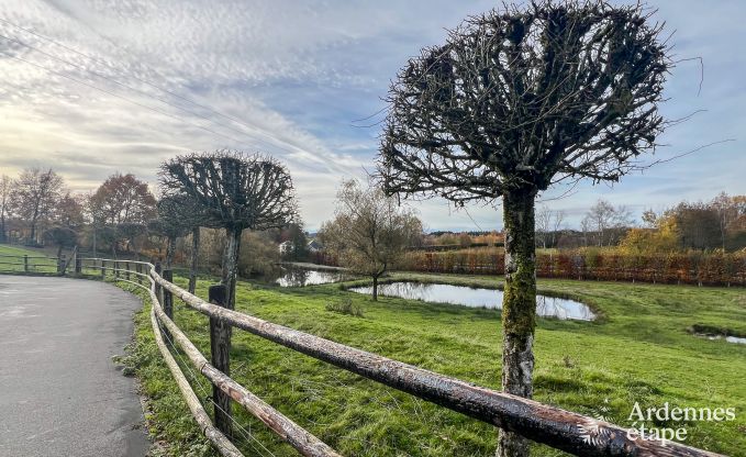 Ferienhaus Paliseul 6 Pers. Ardennen Wellness