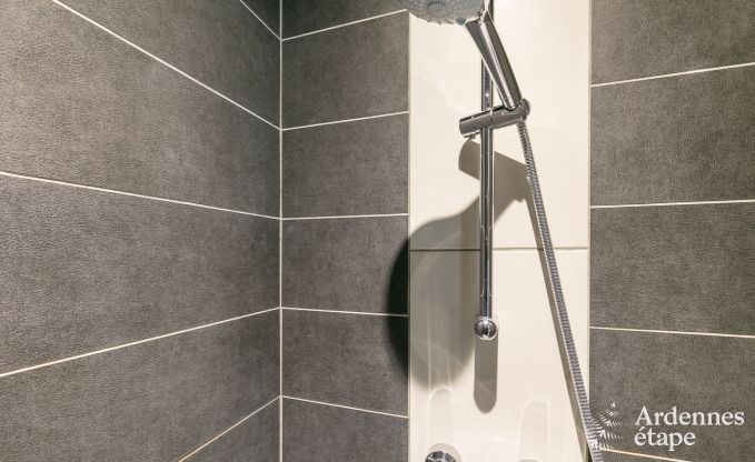 Ferienhaus Paliseul 6 Pers. Ardennen Wellness