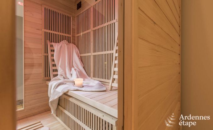 Ferienhaus Paliseul 8/9 Pers. Ardennen Wellness
