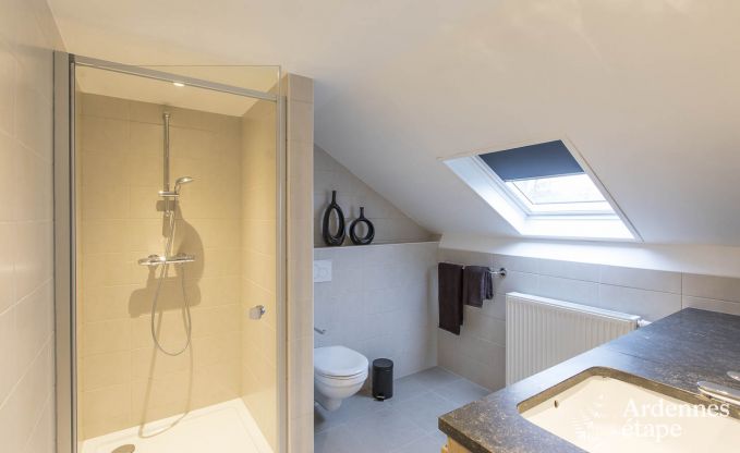 Ferienhaus Paliseul 8/9 Pers. Ardennen Wellness